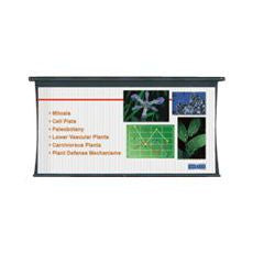 Da-Lite Tensioned Large Cosmopolitan Electrol projection screen 180" 4:3