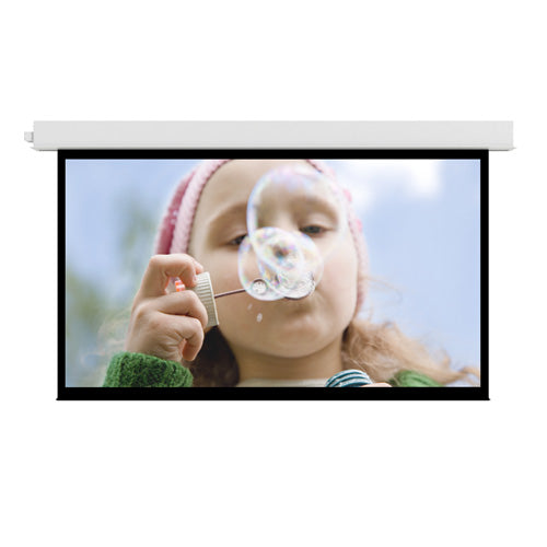 Da-Lite Advantage Series projection screen 133" 16:9