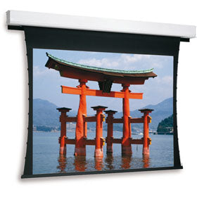 Da-Lite Tensioned Advantage Electrol projection screen 133" 16:9