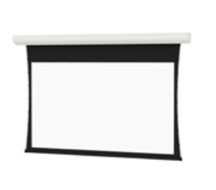 Da-Lite 29928LS projection screen 123" 16:10