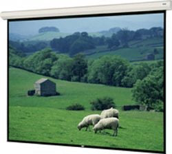 Da-Lite 70281L projection screen 208" 16:10