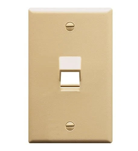IC107DA1IV - ICC Faceplate