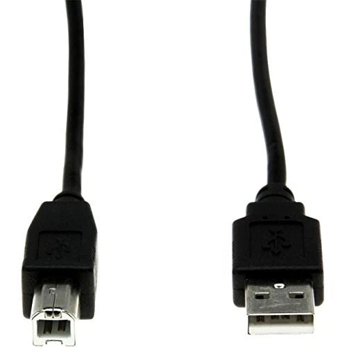 Y10C116-B1 - Rocstor High Speed 4-pin Type A USB 2.0 6ft USB Cable