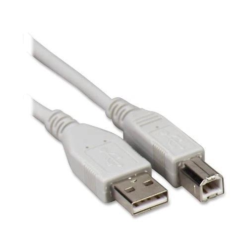 CCS-11150 - Compucessory A-b USB USB 6ft 1 X Type A Male Cable