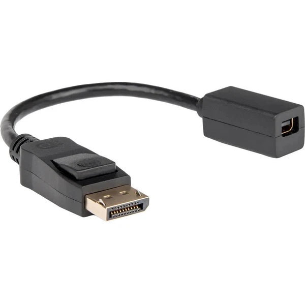 Y10C270-B1 - Rocstor DisplayPort to Mini DisplayPort Adapter