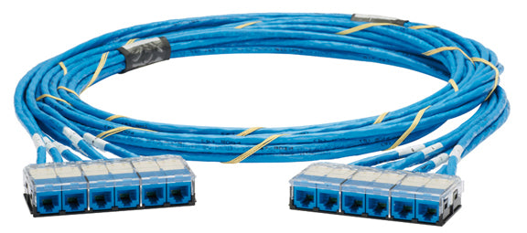 Panduit QCRBCUW0017F064 networking cable Blue 767.7" (19.5 m) Cat6 U/UTP (UTP)