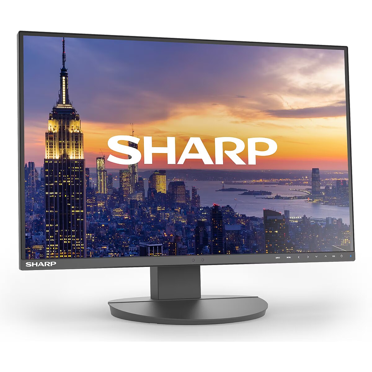 60006214 - Sharp 24-inch business-class LCD monitor