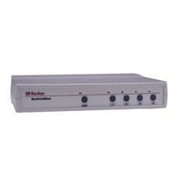 Raritan CompuSwitch KVM switch Grey