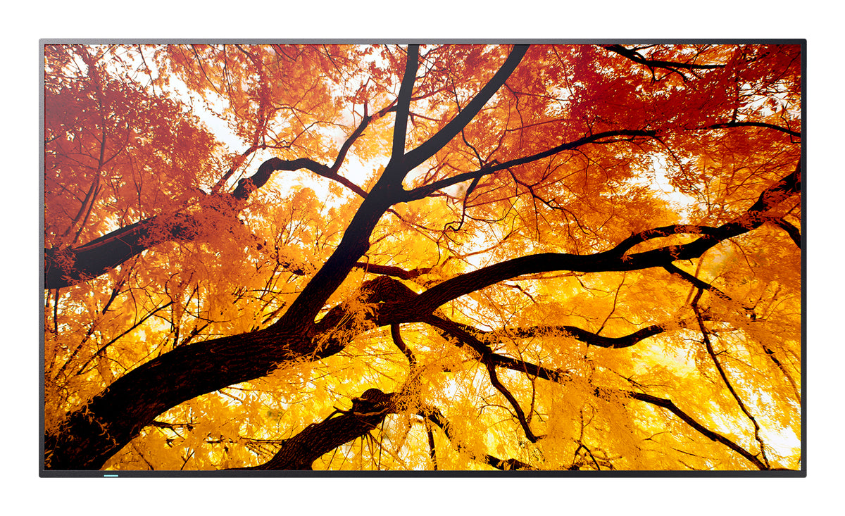 60006058 - NEC 86-Inch 4K UHD 3840 x 2160 550 Direct LED Large Format Display