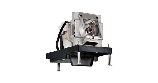 NP22LP-BTI - BTI Projector Lamp