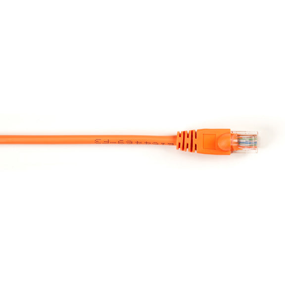 Black Box 25x Value Line Cat5e 2ft networking cable Orange 23.6" (0.6 m)