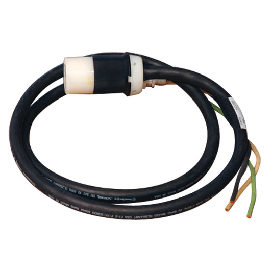 120V SINGLE PHASE WHIP IN 10 FT. LENGTH WITH L5-20R OUTPUT FOR BREAKERED 3 PHASE