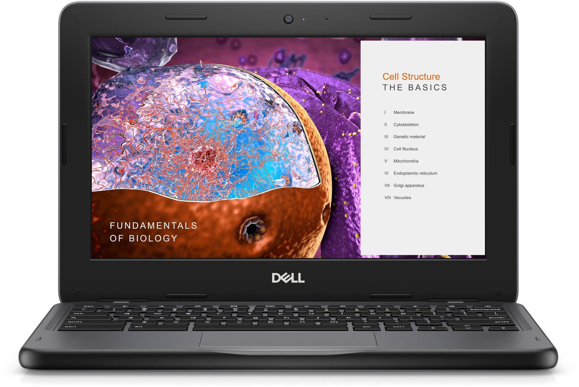 DELL Chromebook 3110 N4500 11.6" HD IntelÂ® CeleronÂ® N 4 GB LPDDR4x-SDRAM 32 GB eMMC Wi-Fi 6 (802.11ax) ChromeOS Black