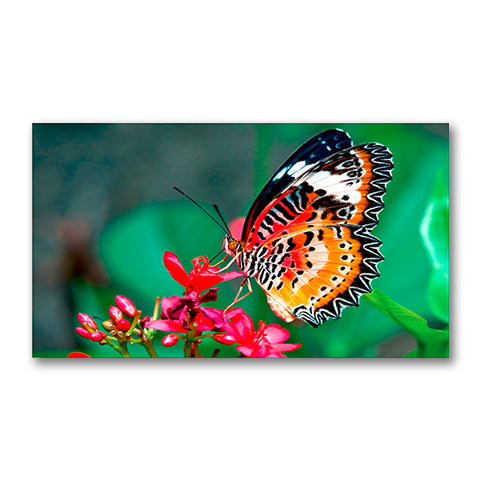 NEC UN462VA - LED DISPLAY - 46 INCH - 1920 X 1080 - 500 CD/M2(MAXIMUM); 400 CD/M2 (T