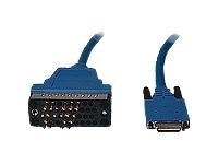 Cisco Router cable - M/34 (V.35) (M) (M) - 3 m networking cable Blue 118.1" (3 m)