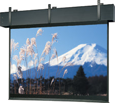 Da-Lite Professional Electrol 14' x 14' projection screen
