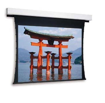 Da-Lite Tensioned Advantage Deluxe Electrol projection screen 164" 16:10