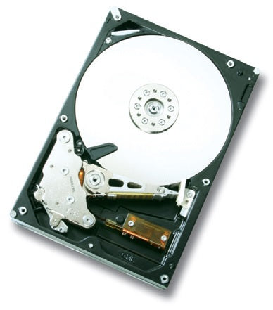 HGST Ultrastar A7K1000 1TB 3.5" 1000 GB Serial ATA II