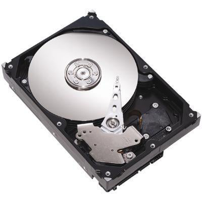 SS35SU32010K/73G - SST 73GB 10K RPM U320 80 PIN SCSI HARD DRIVE