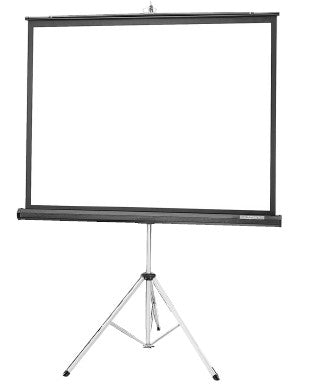 Da-Lite Picture King 50" x 50" projection screen