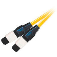 C2G 50m MTPÂ® LSZH 9/125 Single-Mode Fiber Assembly Ribbon Cable - Yellow fiber optic cable 1968.5" (50 m)