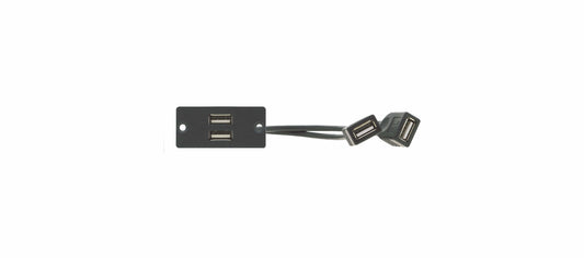 Kramer Electronics THE WU-2AA IS A SINGLE WALL PLATE INSERT WITH TWO USB 2.0 TYPE A PORTS AND TWO