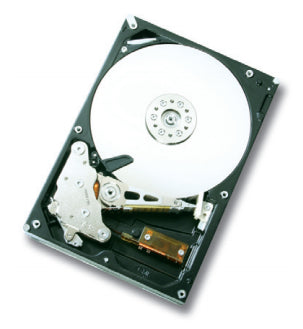 HGST Ultrastar A7K1000 3.5" 1000 GB Serial ATA II