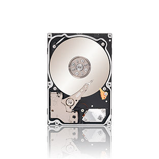 Seagate Constellation .2 2.5" 500 GB SAS