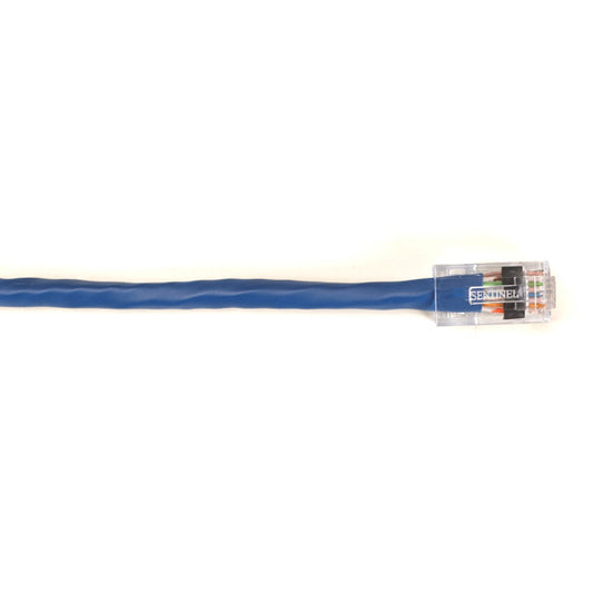 EYN911MS-0005 - Black Box CAT6 550-MHZ SOLID ETHERNET PATCH CABLE - UNSHIELDED (UTP), CMP PLENUM, NO BOOT