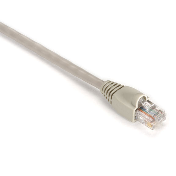 Black Box 1FT BG CAT5E PATCH CABLE networking cable Beige 11.8" (0.3 m) Cat6 U/UTP (UTP)