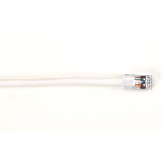 Black Box EYN906MS-0100 networking cable White 1200.8" (30.5 m) Cat6 U/UTP (UTP)