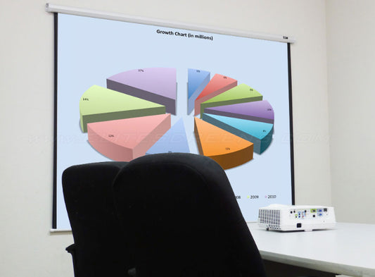 Elite Screens M100V MANUAL B SERIES PROJECTOR SCREEN - 4:3 - 100IN DIAGONAL (80.