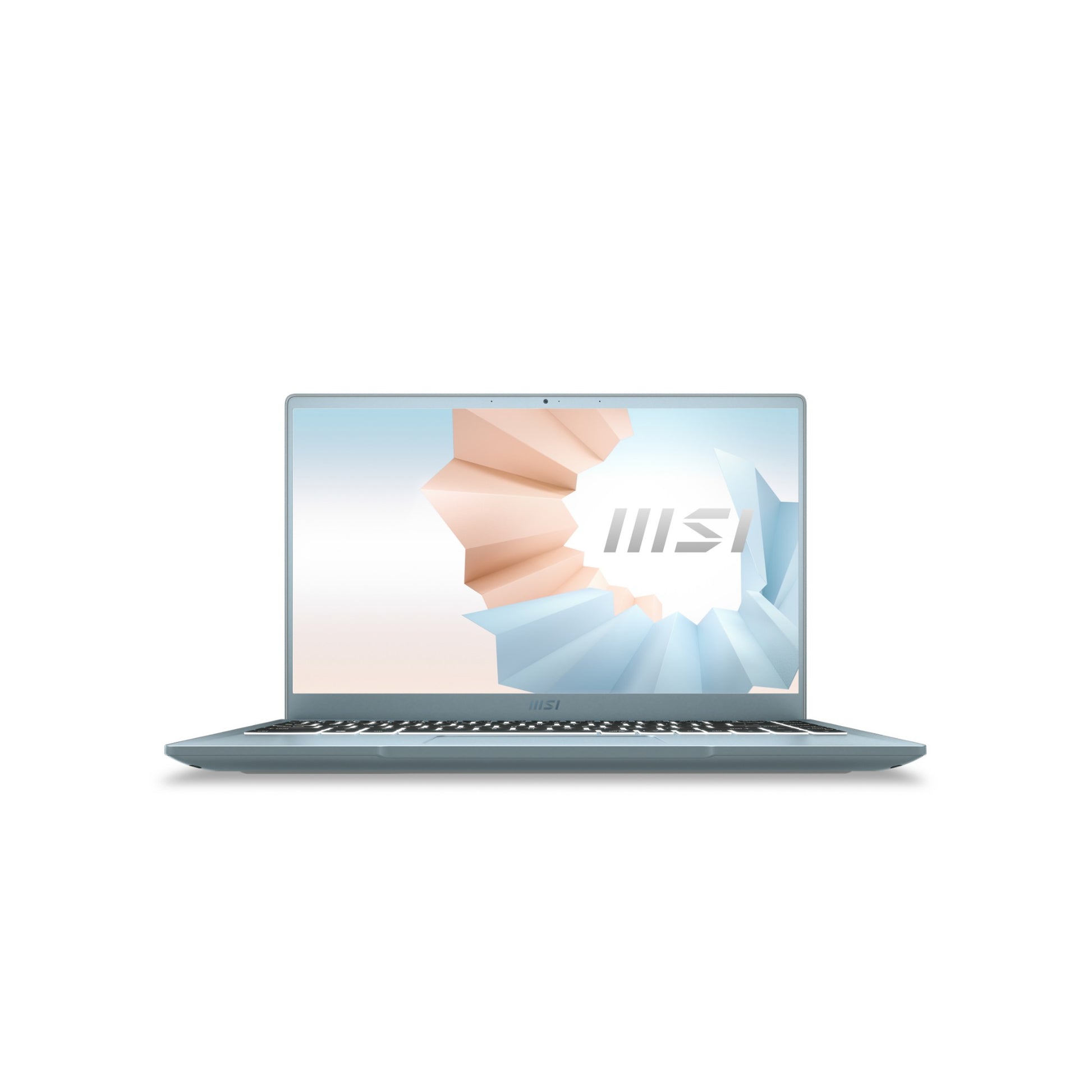 MSI Modern 14 B11SB-289 Notebook 14" Full HD 11th gen IntelÂ® Coreâ„¢ i7 16 GB DDR4-SDRAM 512 GB SSD NVIDIA GeForce MX450 Wi-Fi 5 (802.11ac) Windows 10 Home Blue