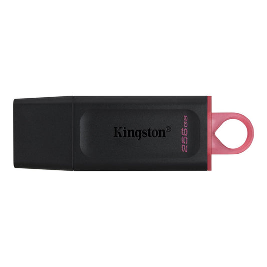 Kingston Technology DataTraveler Exodia Co-logo USB flash drive 256 GB USB Type-A 3.2 Gen 1 (3.1 Gen 1) Black