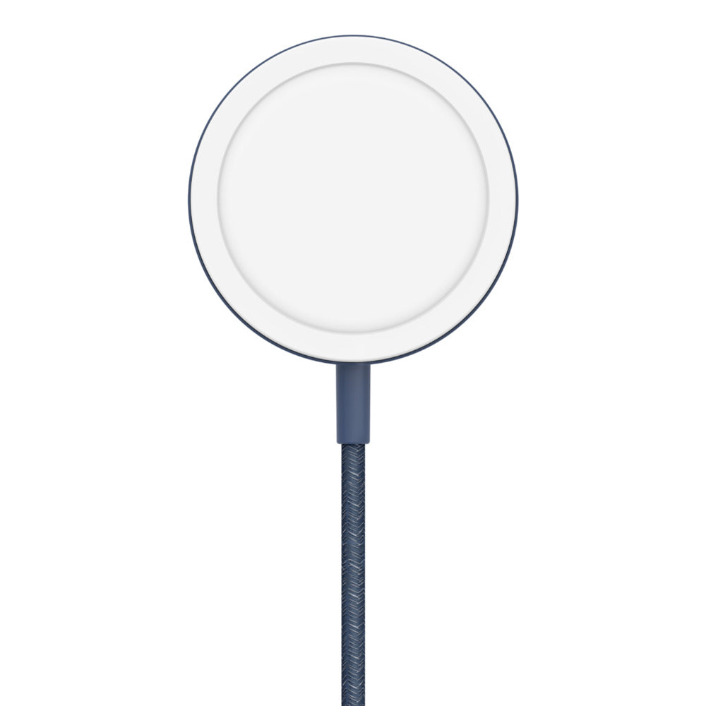 Belkin WIA004ttBL Blue Indoor