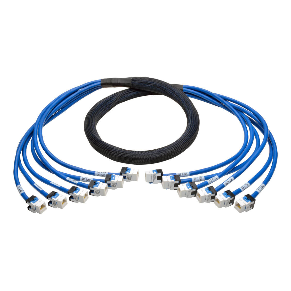 Tripp Lite N261-006-6FF-BL networking cable Blue 70.9" (1.8 m) Cat6