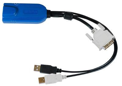 Raritan Digital DVI-D, USB CIM KVM cable Multicolor, Black 11.8" (0.3 m)