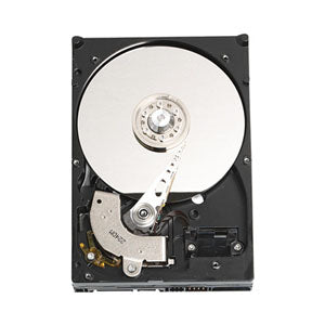 Western Digital Caviar SE 250GB SATA II Serial ATA II