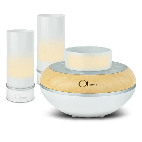 LF5500 - BEM Wireless Ohana Island Twilight Bluetooth Speaker System and Light Bundle