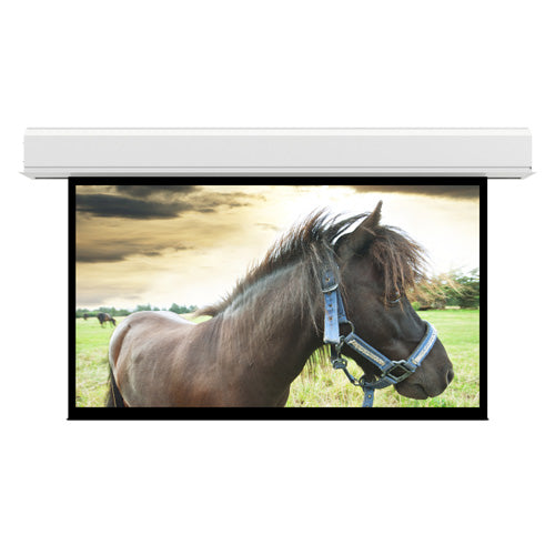 Da-Lite Advantage Series projection screen 243" 16:9