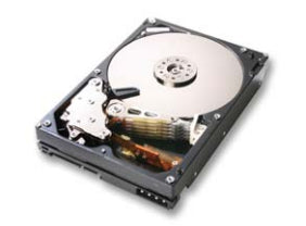 HGST Deskstar 7K1000 3.5" 1000 GB Serial ATA II